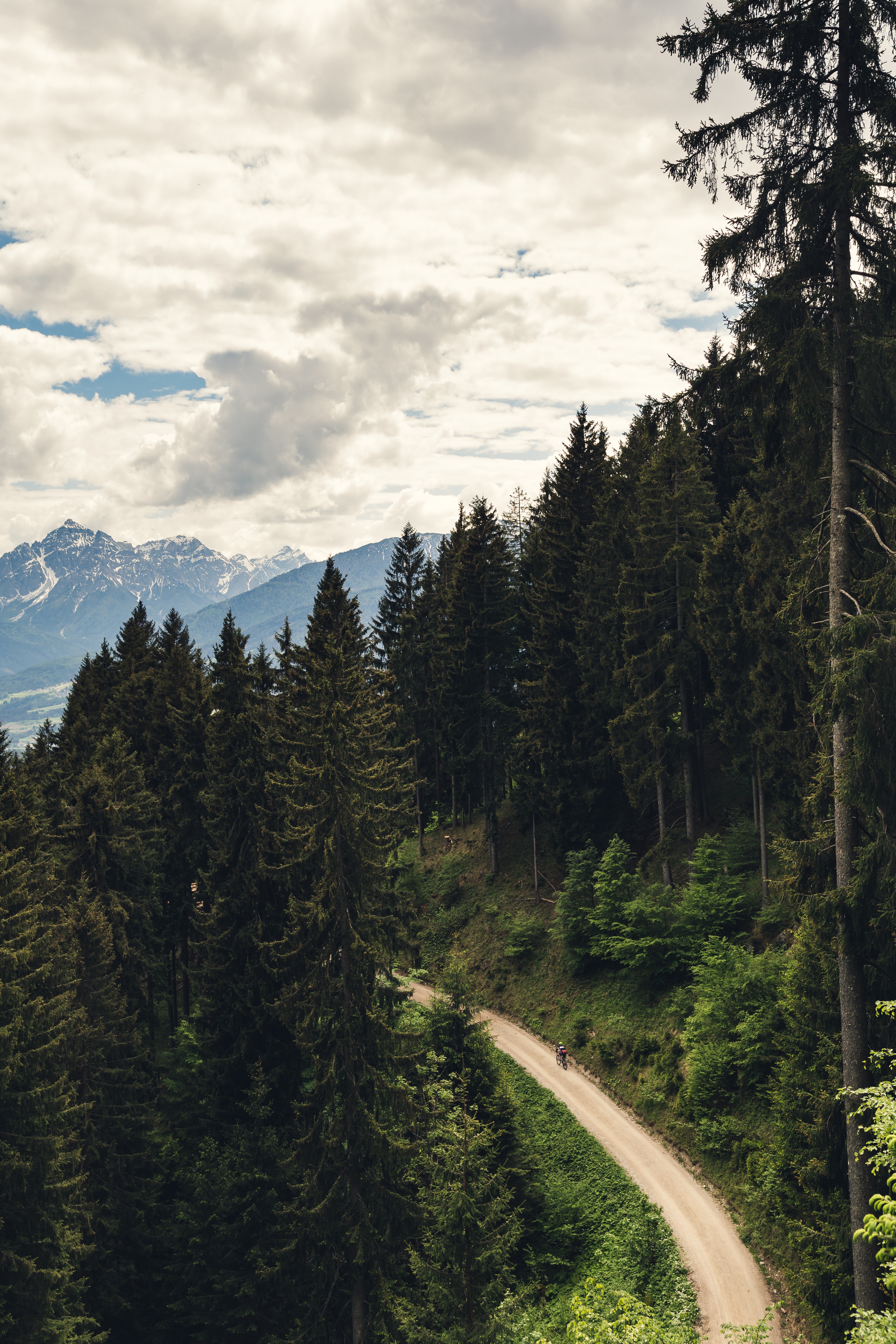 Mountain Biking in the Alps